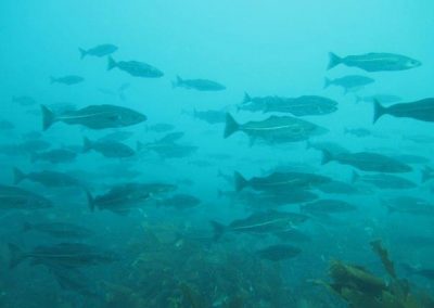 296462_136639233100292_100002626488993_173477_320329206_n